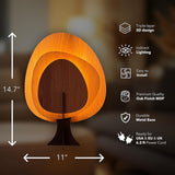 Cozy Light Modern Table Lamp